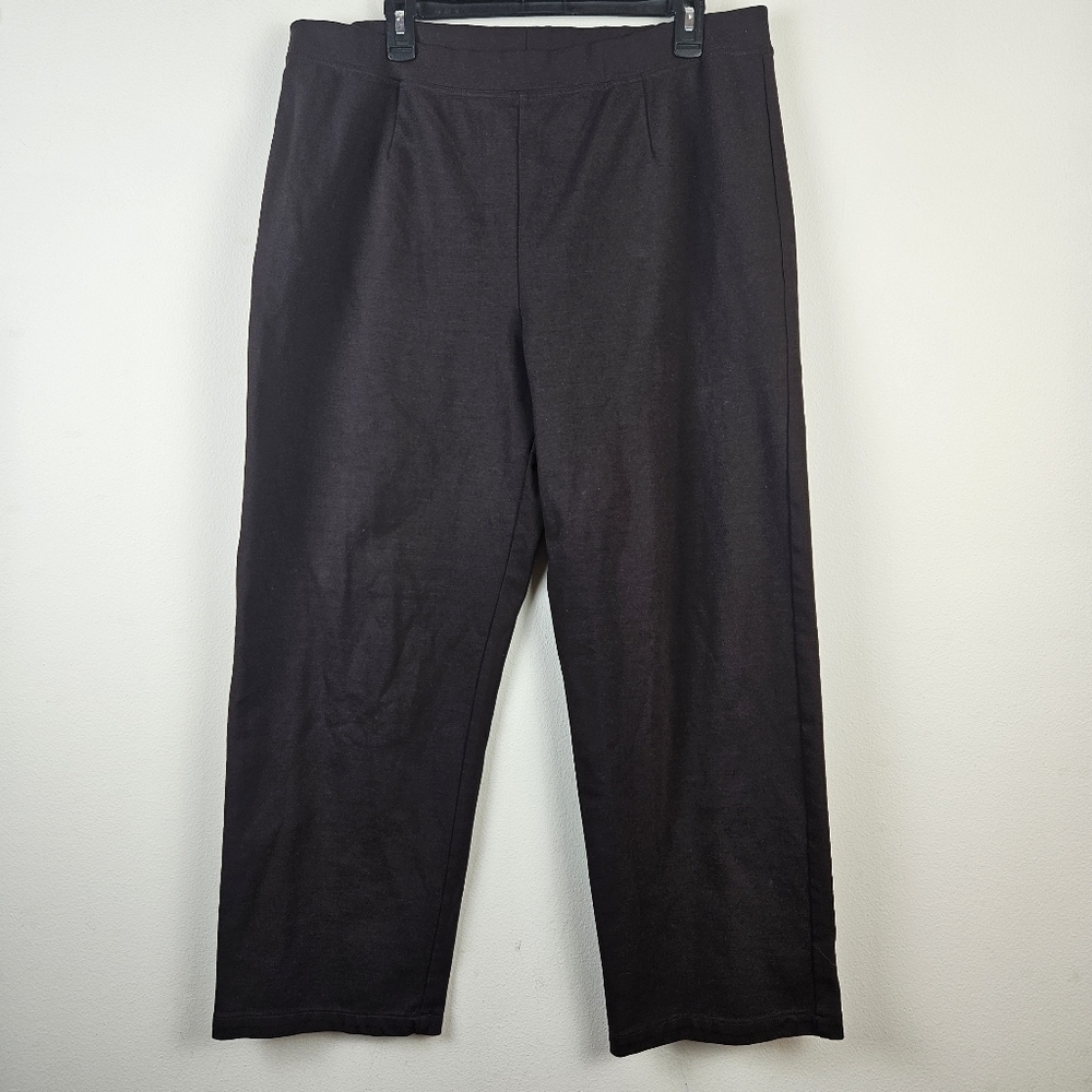 Eileen Fisher Woman Brown Ponte Knit Pants Trouser Size 1X Minimalist Classic